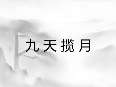 九天揽月