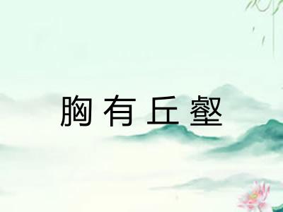 胸有丘壑