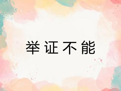举证不能