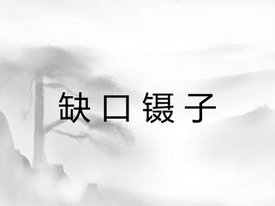 缺口镊子 缺口镊子