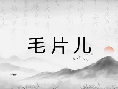 毛片儿