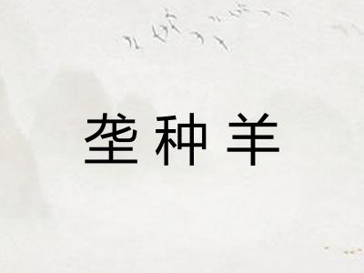 垄种羊