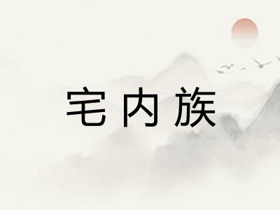 宅内族 宅内族