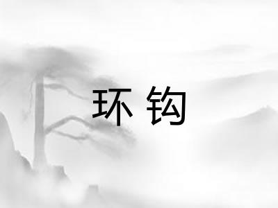 环钩