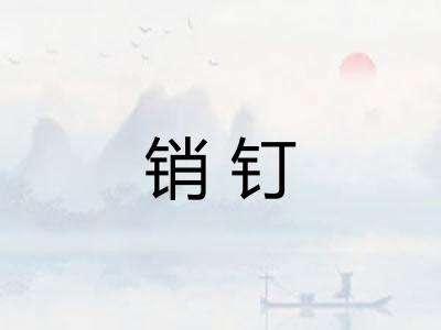 销钉 销钉