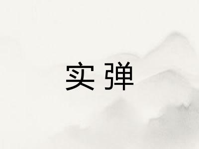 实弹 实弹