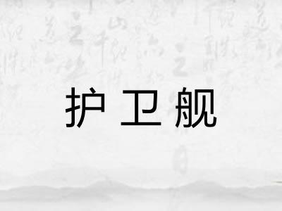 护卫舰 护卫舰