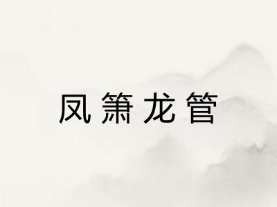 凤箫龙管