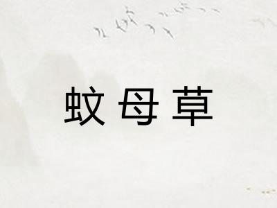蚊母草