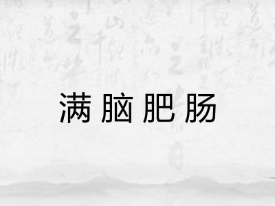 满脑肥肠