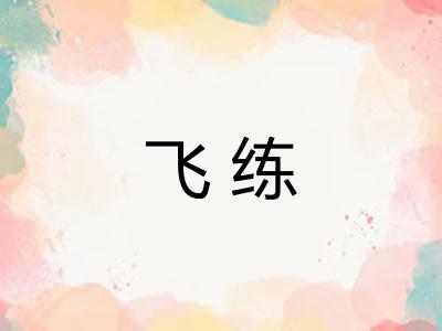 飞练