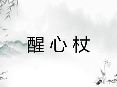 醒心杖