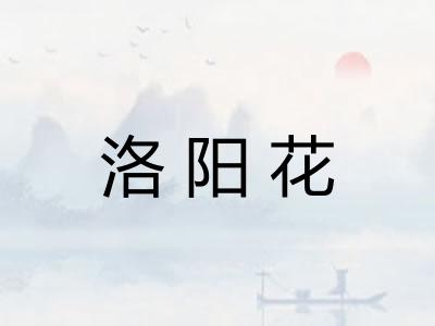 洛阳花 洛阳花