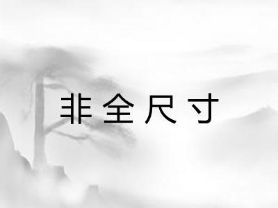 非全尺寸