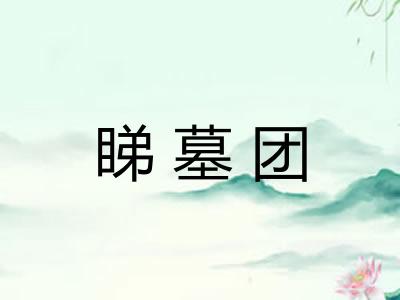睇墓团