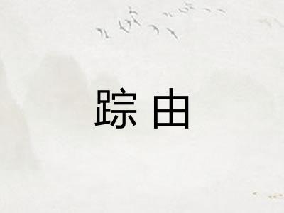 踪由