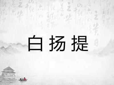 白扬提