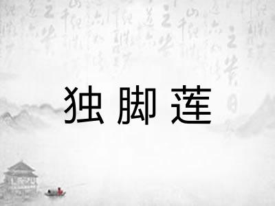独脚莲 独脚莲