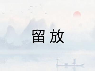 留放