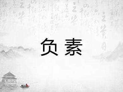 负素 负素