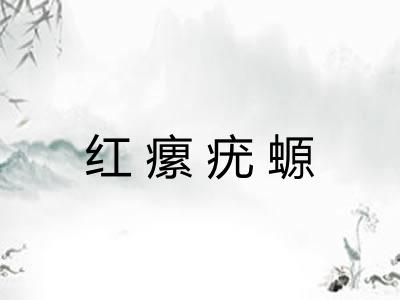 红瘰疣螈 红瘰疣螈