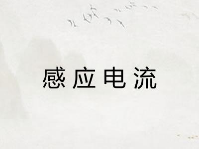 感应电流