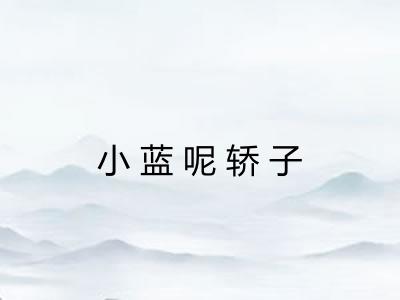 小蓝呢轿子