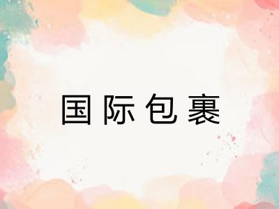 国际包裹 国际包裹