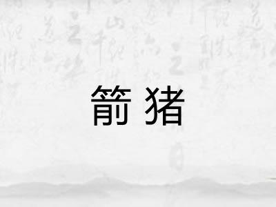 箭猪