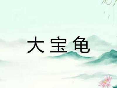 大宝龟 大宝龟