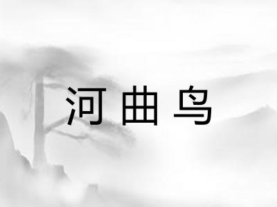 河曲鸟 河曲鸟