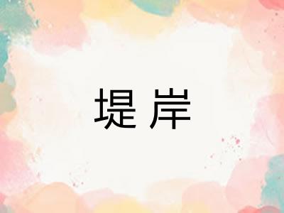堤岸 堤岸