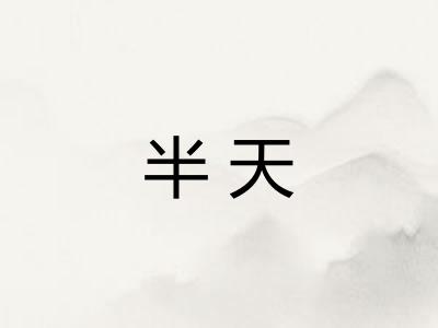 半天