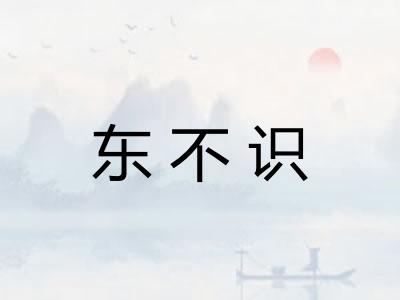 东不识