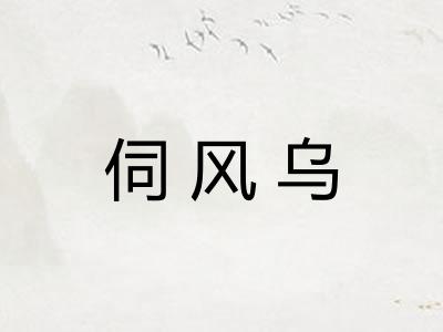 伺风乌