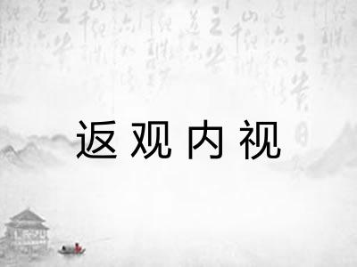 返观内视