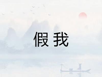 假我