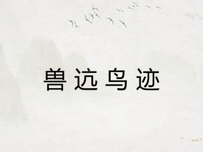 兽迒鸟迹 兽迒鸟迹
