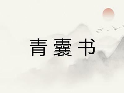 青囊书 青囊书