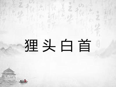 狸头白首