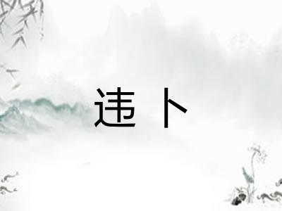 违卜