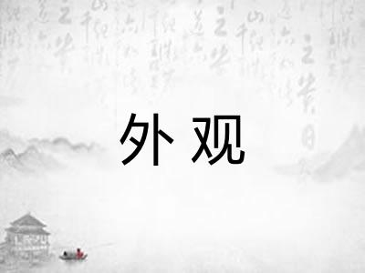 外观 外观