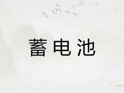 蓄电池