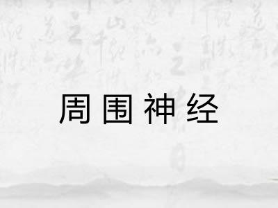 周围神经 周围神经