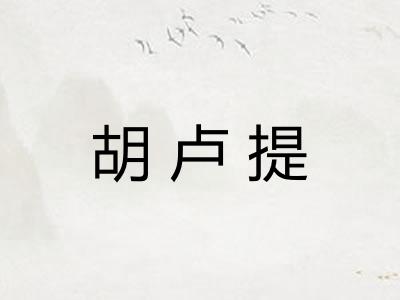 胡卢提