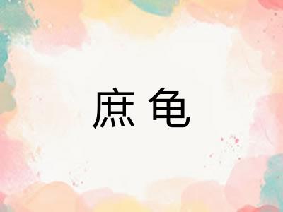 庶龟