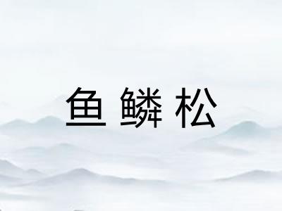 鱼鳞松