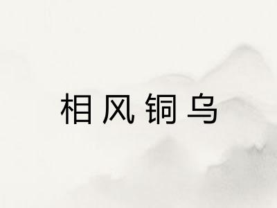 相风铜乌
