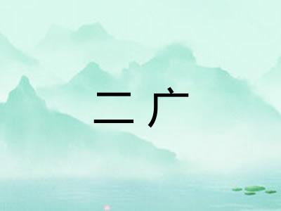 二广 二广