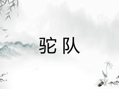 驼队